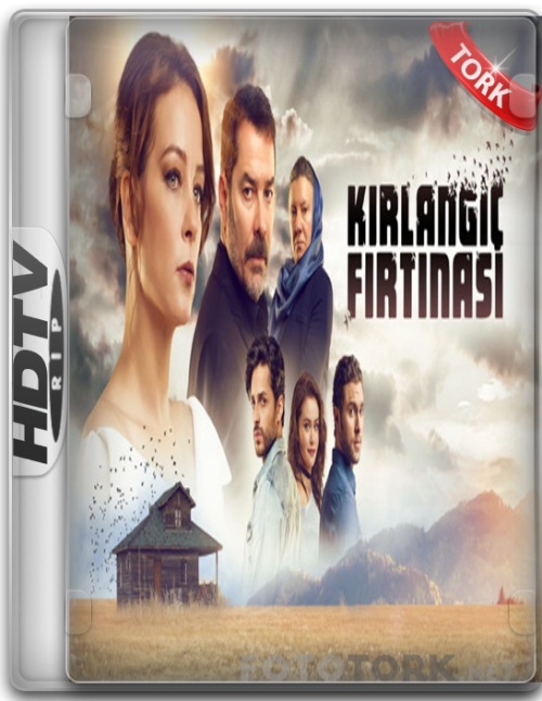 kirlangicfirtinasi.png