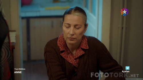 Anne.BL.22.HDTvRip.720p.AC3.by.TheWelleTy.TORK.mkv_snapshot_00.46.11_2017.04.05_20.50.20.jpg