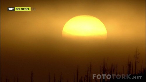 TRTBelgeselHDDunyaNasilOlustuBL22720pHDTvRipAC3BySALCITORK_00_38_36_04_7.jpg