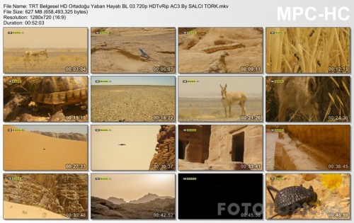 TRTBelgeselHDOrtadoguYabanHayatiBL03720pHDTvRipAC3BySALCITORK.mkv_thumbs_2017.05.06_06.01.32.jpg