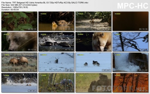 TRTBelgeselHDVahsiAmerikaBL03720pHDTvRipAC3BySALCITORK.mkv_thumbs_2017.05.06_06.02.48.jpg