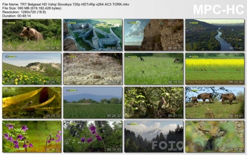 TRTBelgeselHDVahsiSlovakya720pHDTvRipx264AC3TORK.mkv_thumbs_2017.05.06_06.01.08.jpg