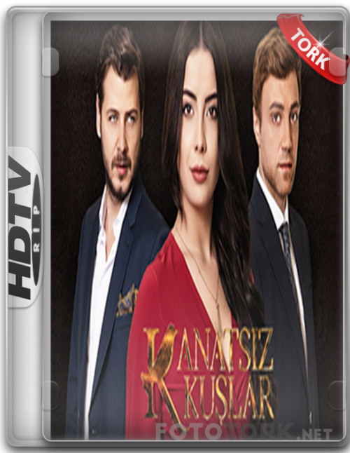 kanatsiz.png