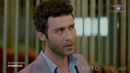 part1.mkv_000392597.png