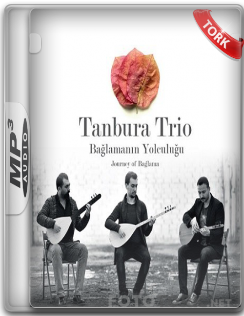 Mp3tanbura.png