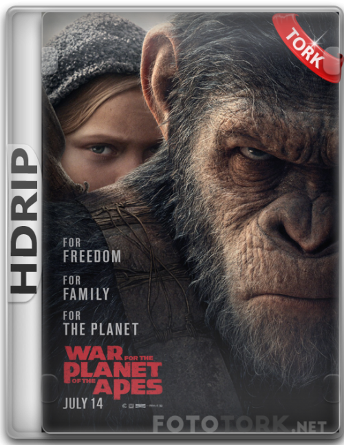 HDRip.png