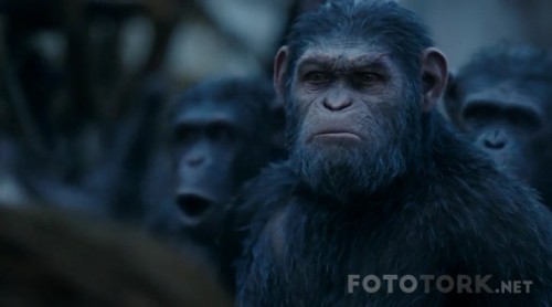 Maymunlar-Cehennemi-Savas---War-for-the-Planet-of-the-Apes-2017-KORSUB-HDRip-x264-TR-Altyazi-TORK.mkv_snapshot_01.12.11_2017.10.04_05.44.19.jpg