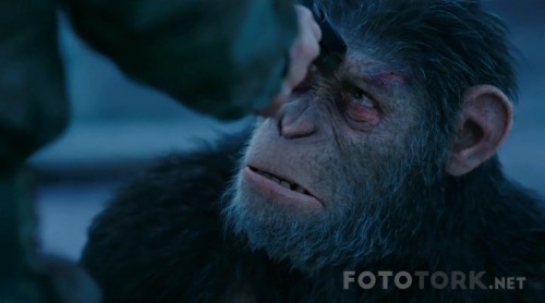 Maymunlar-Cehennemi-Savas---War-for-the-Planet-of-the-Apes-2017-KORSUB-HDRip-x264-TR-Altyazi-TORK.mkv_snapshot_01.14.32_2017.10.04_05.45.21.jpg