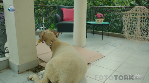 Ver.Elini.Ask.BL.05.HDTvRip.720p.AC3.by.TheWelleTy.TORK.mkv_003914136.png