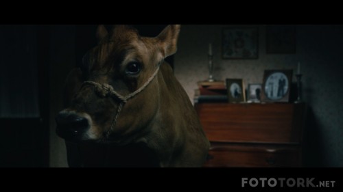 1922-2017-1080p-NF-WEB-DL-x264-DUAL-TR-ENG-TORK.mkv_snapshot_01.26.12_2017.10.23_18.03.27.jpg