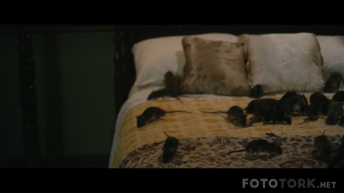 1922-2017-1080p-NF-WEB-DL-x264-DUAL-TR-ENG-TORK.mkv_snapshot_01.32.22_2017.10.23_18.06.05.jpg