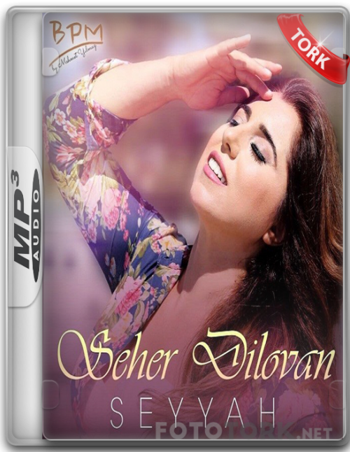 Mp3seher.png
