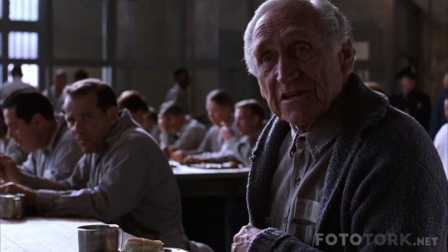 Esaretin-Bedeli---The-Shawshank-Redemption-1994-1080p-BluRay-x264-DUAL-TR-ENG-TORK.mkv_snapshot_00.21.54_2017.10.26_19.17.12.jpg
