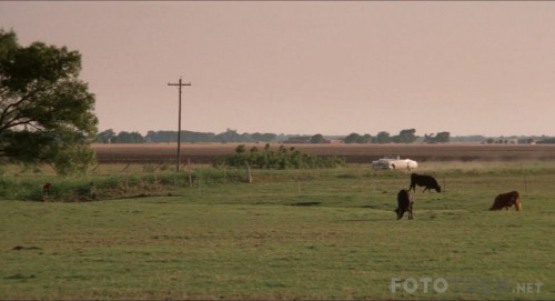 Rain-Man-1988-REMASTERED-1080p-BluRay-x264-TR-Altyazi-TORK.mkv_snapshot_00.56.32_2017.10.29_23.51.29.jpg