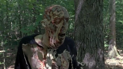 The.Walking.Dead.S08E02.HDTV.x264-SVA.mkv_snapshot_22.50_2017.10.31_05.14.10.jpg