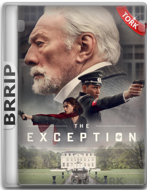 BRRip.png