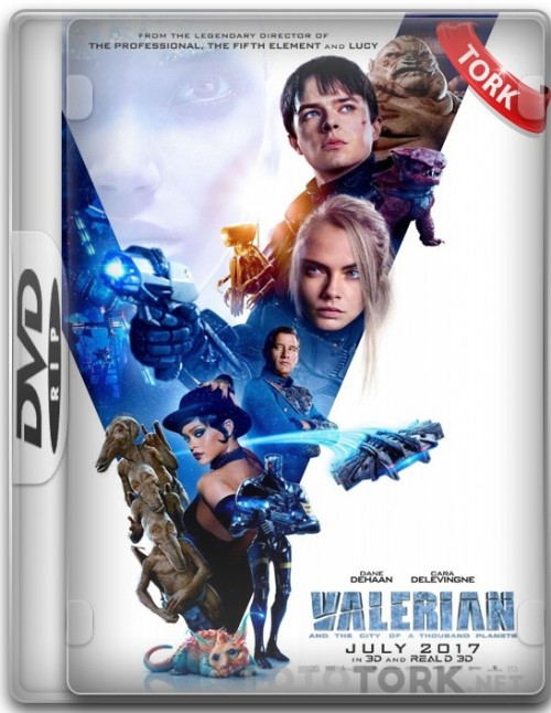 DVDRip.jpg