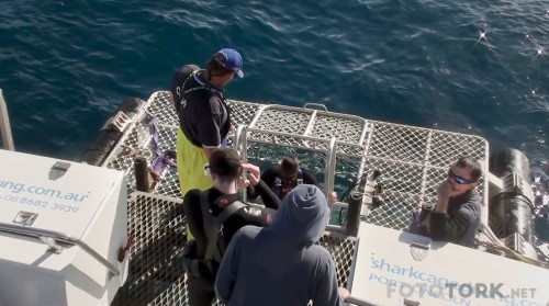 Open.Water.3.Cage.Dive.2017.m1080p.BluRay.x264-DUAL.TR.ENG.mkv_snapshot_00.28.28_2017.11.06_08.24.05.jpg