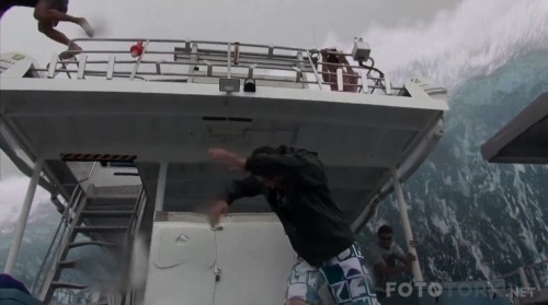 Open.Water.3.Cage.Dive.2017.m1080p.BluRay.x264-DUAL.TR.ENG.mkv_snapshot_00.32.23_2017.11.06_08.21.44.jpg