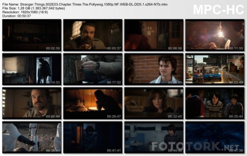 Stranger.Things.S02E03.Chapter.Three.The.Pollywog.1080p.NF.WEB-DL.DD5.1.x264-NTb.mkv_thumbs.jpg
