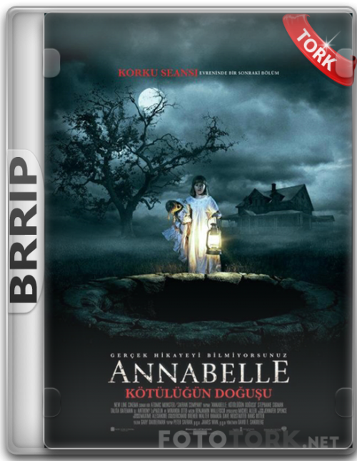BRRip.png