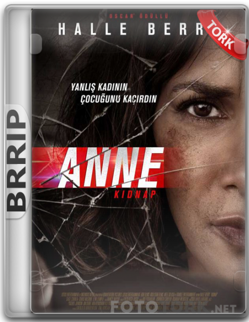 BRRip.png