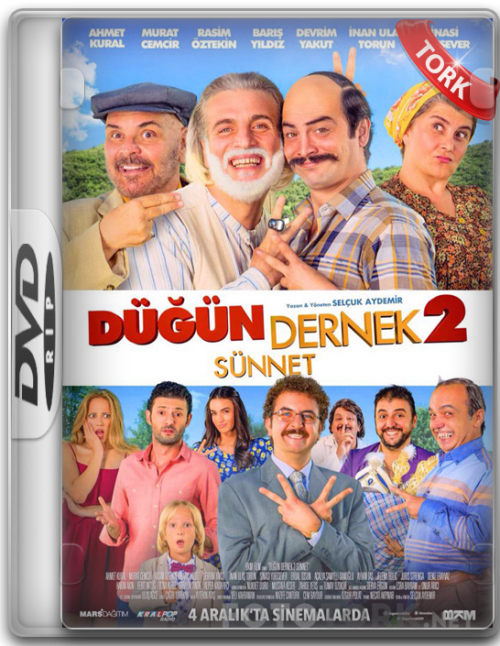 DVDRip.png