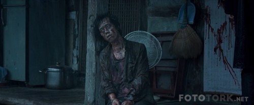 Agit---The-Wailing-2016-1080p-Bluray-x264-TRDUB-TORK.mkv_snapshot_00.44.27.jpg