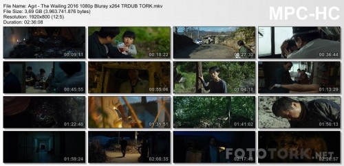 Agit---The-Wailing-2016-1080p-Bluray-x264-TRDUB-TORK.mkv_thumbs.jpg