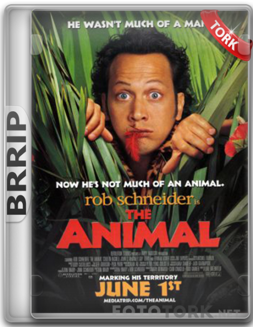 BRRip.png