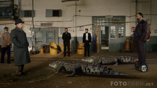 Dort.Kose.2017.Sansursuz.m1080p.WEBRip.x264.mkv_snapshot_00.15.44_2017.11.21_17.27.46.jpg