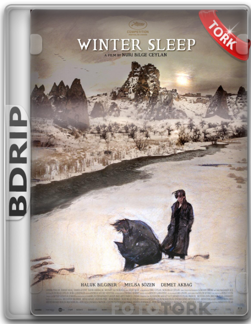 BDRip.png