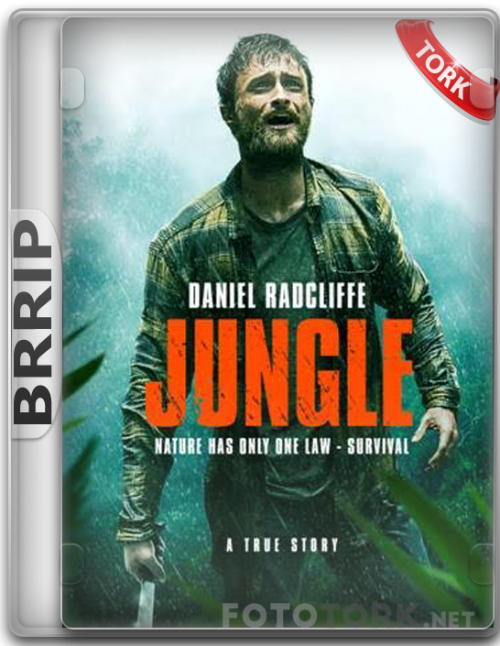 BRRip.png