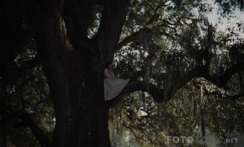 Kadin-Affetmez---The-Beguiled-2017-1080p-BluRay-x264-DUAL-TR-ENG-TORK.mkv_snapshot_00.21.41.jpg