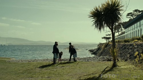 thelobster3.jpg