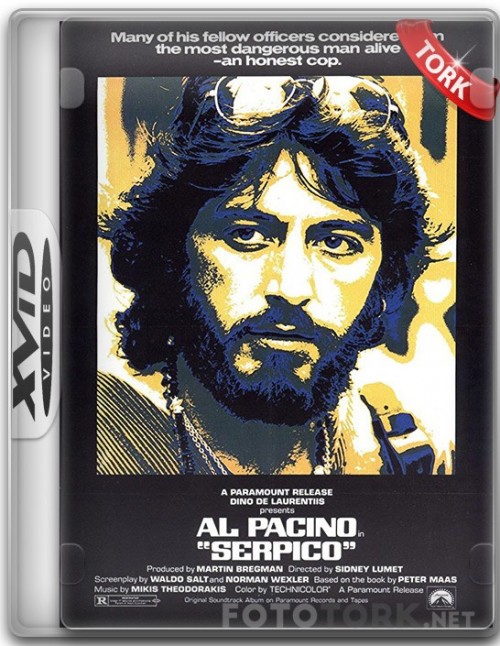 Xvid.jpg