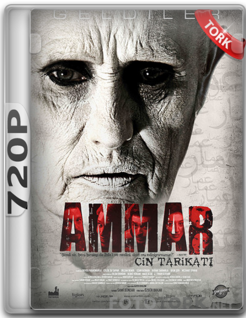 720pammar1.png