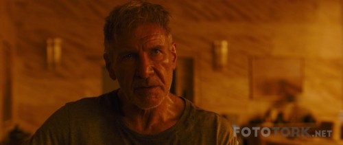 Blade-Runner-2049-2017-WEB-DL-x264-FGT-TR-Altyazi-TORK.mp4_snapshot_01.53.22.jpg
