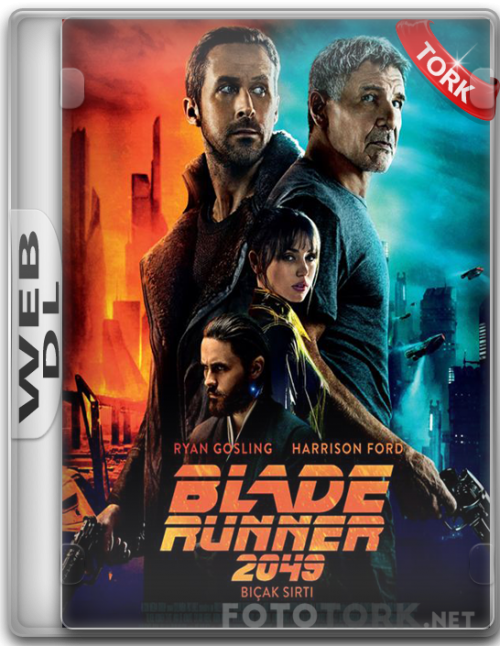 WeB-DL1578c94db9f9a49e9.png