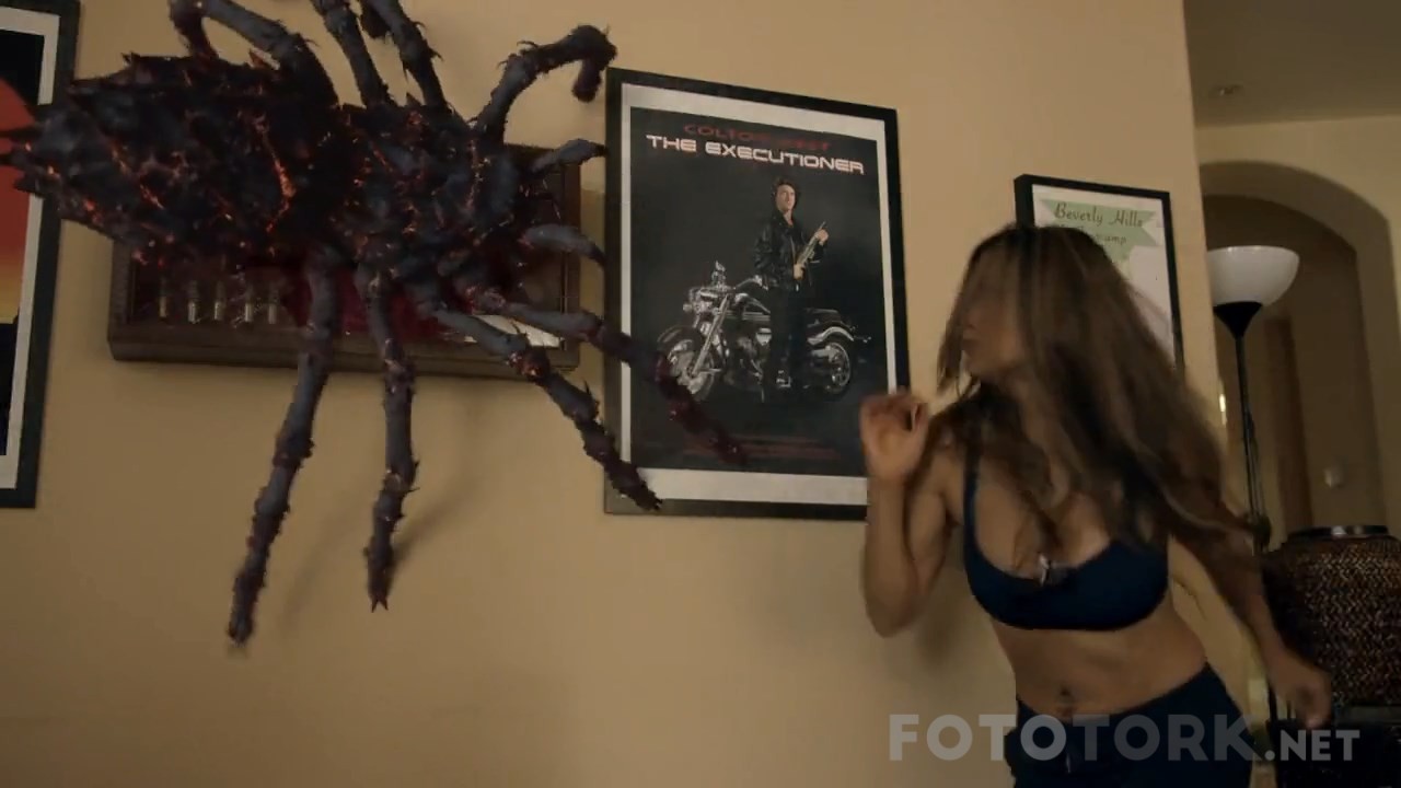 Spiders movie