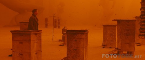 Bicak-Sirti---Blade-Runner-2049-2017-1080p-BluRay-x264-DUAL-TR-ENG-TORK.mkv_snapshot_01.41.46.jpg