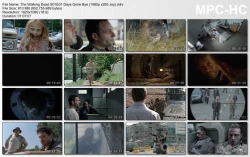 The-Walking-Dead-S01E01-Days-Gone-Bye-1080p-x265-Joy.mkv_thumbs.jpg