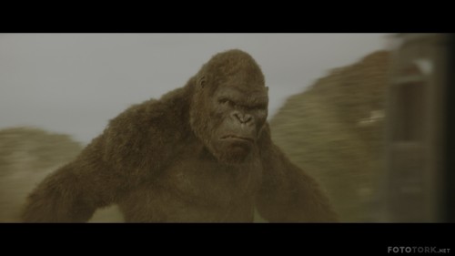 Kong-Skull-Island-2017-2160p-BluRay-REMUX-HEVC-DTS-HD-MA-TrueHD-7.1-FGT.mkv_snapshot_00.30.58.jpg