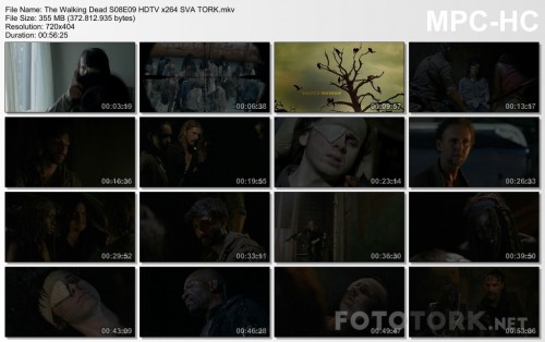 The-Walking-Dead-S08E09-HDTV-x264-SVA-TORK.mkv_thumbs.jpg