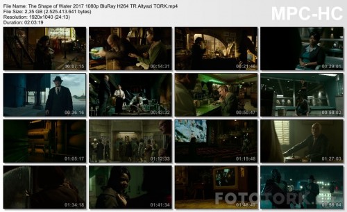 The-Shape-of-Water-2017-1080p-BluRay-H264-TR-Altyazi-TORK.mp4_thumbs.jpg