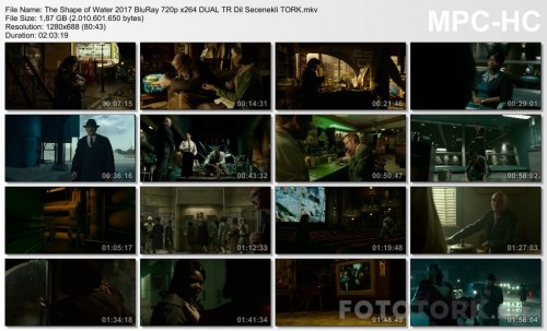 The-Shape-of-Water-2017-BluRay-720p-x264-DUAL-TR-Dil-Secenekli-TORK.mkv_thumbs.jpg