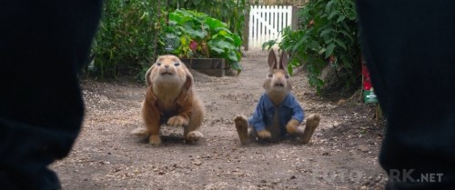 Peter-Rabbit-2018-720p-BluRay-x264-TR-Altyazi-TORK.mkv_snapshot_00.31.49.jpg