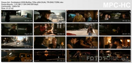 Zombieland.720p.ss-6.jpg