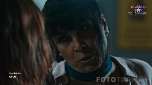 Avlu.BL.10.HDTvRip.720p.AC3.by.TheWelleTy.TORK.mkv_85480960000.png