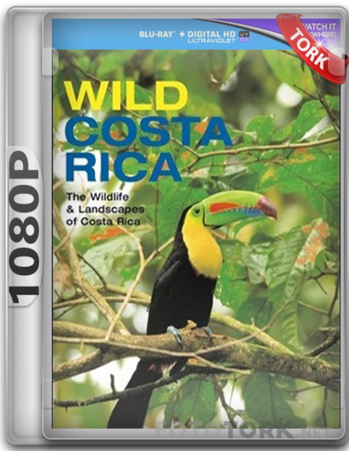 Wild.Costa.Rica-1080p.png